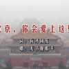 摇头摆尾十二生肖打一肖